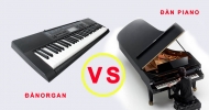 Sự khác nhau giữa đàn Piano và đàn Organ