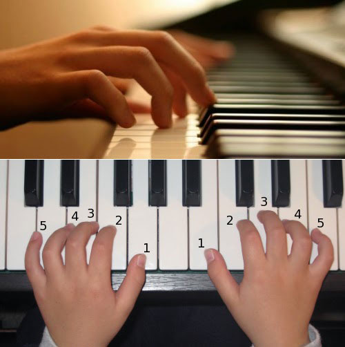 lý do nên học đàn piano